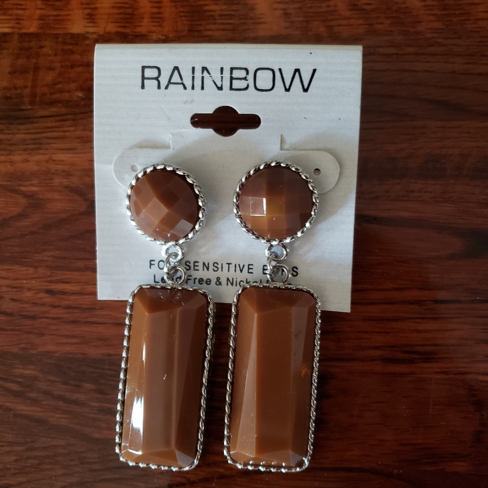 Rainbow Brown Drop Pierced Earrings